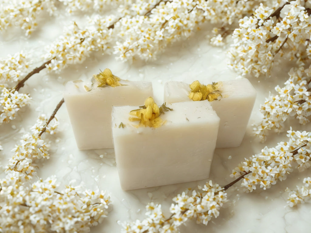 🌿✨ BALM OF GILEAD ✨🌿